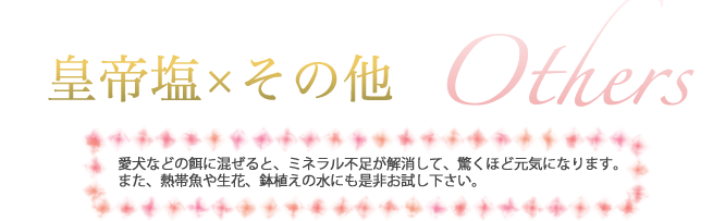 皇帝塩×その他　Others　愛犬などの餌に混ぜると、ミネラル不足が解消して、驚くほど元気になります。また、熱帯魚や生花、鉢植えの水にも是非お試し下さい。